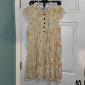 American Eagle Dress